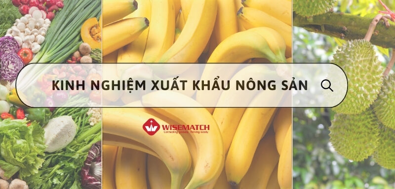 kinh nghiệm xuất khẩu nông sản