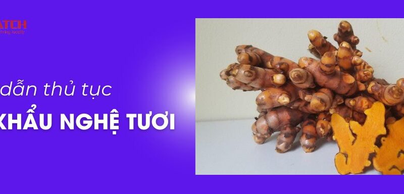 Thủ tục xuất khẩu nghệ tươi