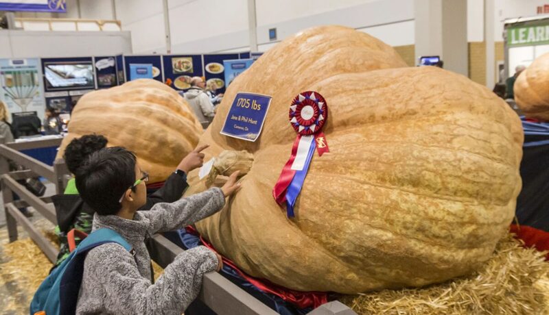 Royal Agricultural Winter Fair