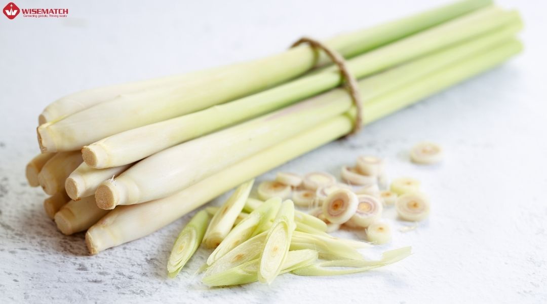 cây sả xuất khẩu 