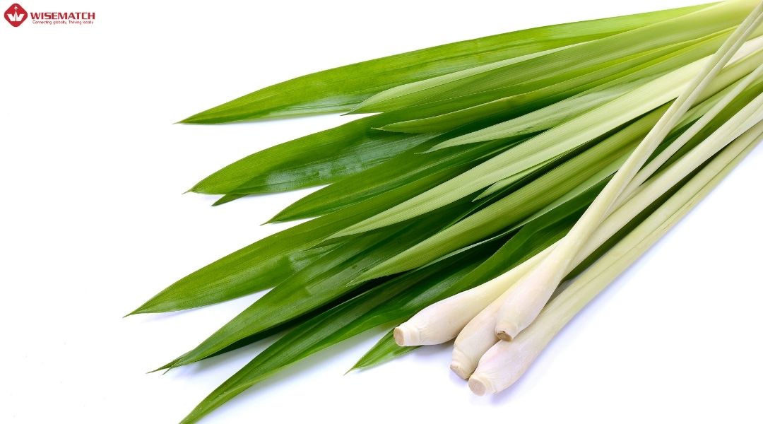 thủ tục xuất khẩu sả