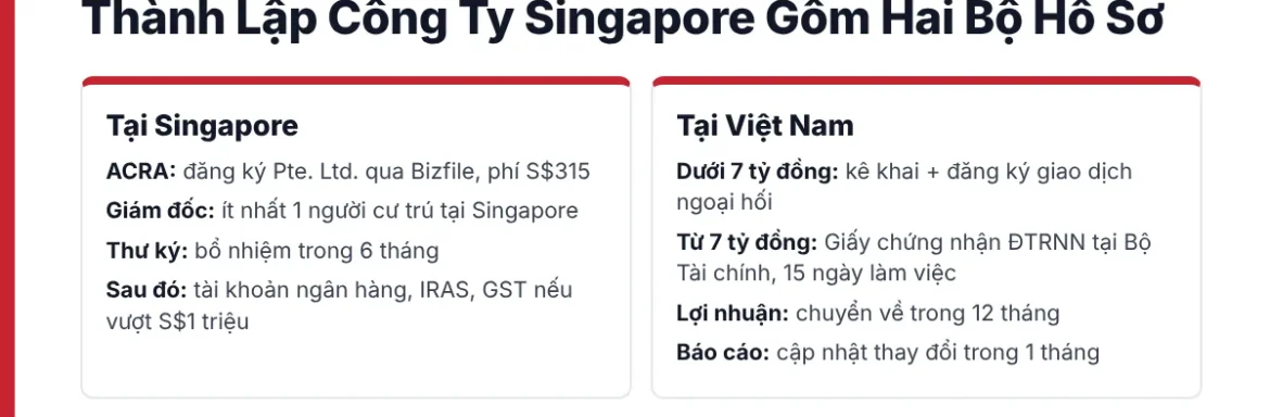 Hai bộ hồ sơ khi doanh nghiệp Việt thành lập công ty tại Singapore, phía ACRA và phía đầu tư ra nước ngoài tại Việt Nam