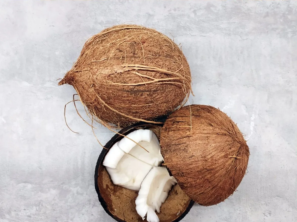 Trái dừa khô bổ đôi, thấy phần cơm dừa trắng